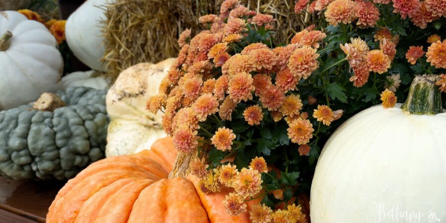 Best Fall Activities & Pumpkin Picks in Las Vegas